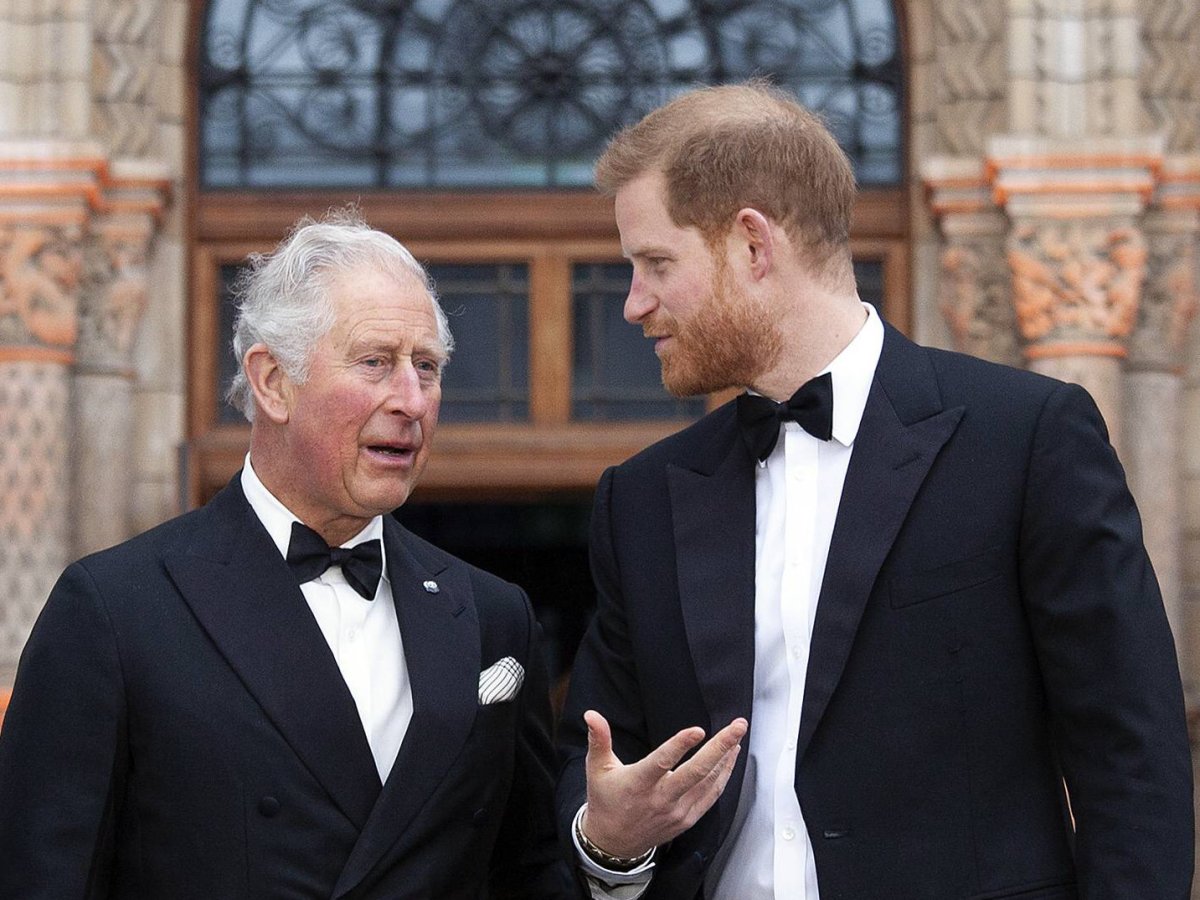 Prinz Charles und Prinz Harry